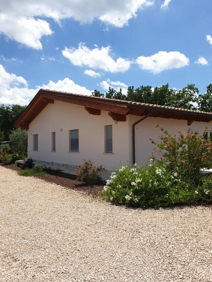 Il Rifugio Del Tempo Bed & Breakfast Roccasecca Екстериор снимка